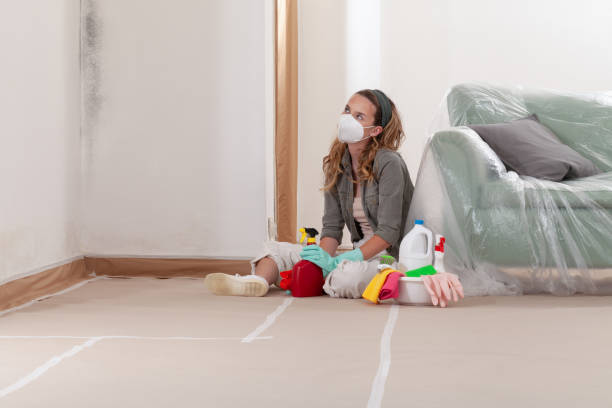 Reliable Mold Remediation contractor in North Fort Lewis, WA by 24 Hour Mold Removal